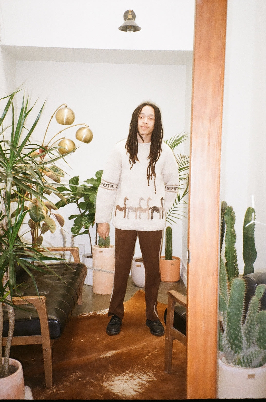 Brown Trousers with Tan Side Panel